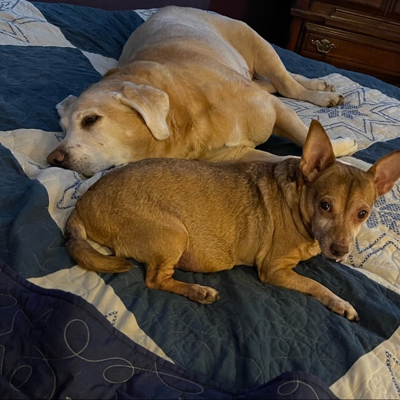 Meet your Posher, Krissy! - Picture 9 of 14